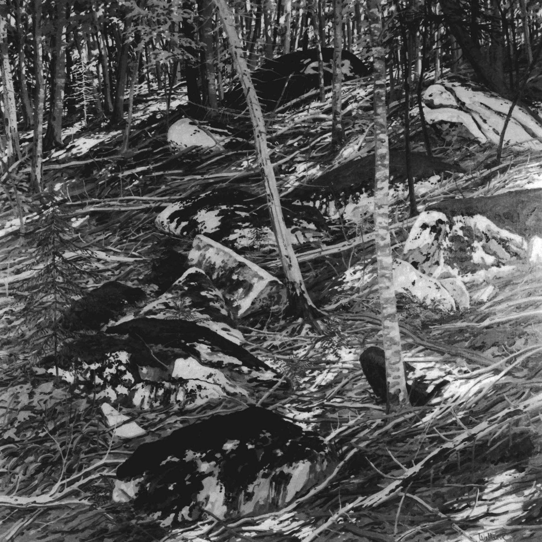 Late Light, 1978