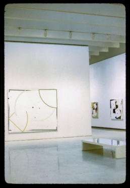 Museum of Art, Carnegie Institute:William Conlon Exhibition, 1981